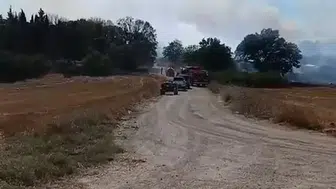 Bursa’da arazide çıkan yangın, ekiplerin müdahalesiyle kontrol altına alındı