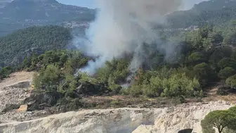 Milas'ta orman yangınına kısa sürede müdahale: Ekipler seferber oldu