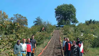 Kumluca beldesinde salep dikimi gerçekleştirildi