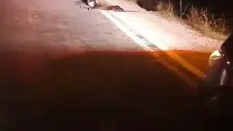 Yüksekova’da otomobil koyun sürüsüne çarptı, 4 koyun telef oldu