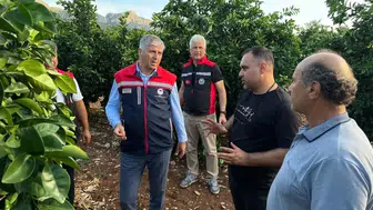 Adana'da dolu yağışı tarım arazilerinde büyük zarara yol açtı