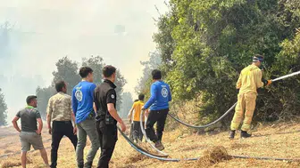 Adana orman yangını kontrol altında: Yangına müdahale başarı sağladı