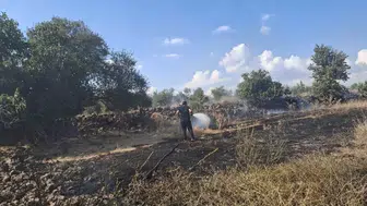 Hassa'da zeytinlik alan ve anız yangını kontrol altına alındı