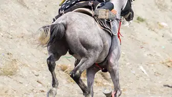 Erzincan'da Atlı Cirit Türkiye Şampiyonası ön eleme müsabakaları tamamlandı