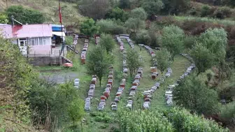 Zorlu yürüyüşten organik ballara: Erzurumlu sporcu ve arıcı Alim Eser'in hikayesi
