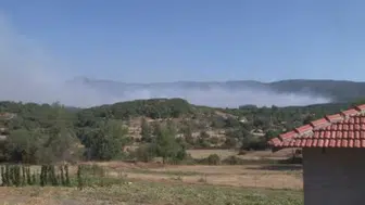 Muğla'daki orman yangınına kapsamlı müdahale: yollar kapandı