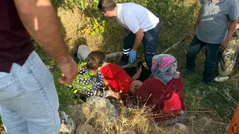 Adıyaman'da ceviz ağacından düşen kişi yaralandı