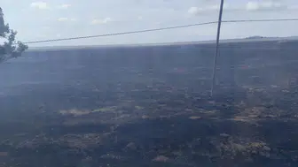 Tekirdağ’ın Muratlı ilçesinde mera yangını kontrol altına alındı