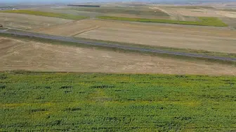 Kars'ın havadan görüntüleri kartpostal gibi: Tarım arazilerinde renk cümbüşü