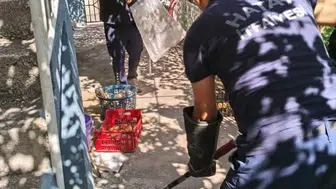 İskenderun'da evin içinde bulunan yılan, doğal yaşam alanına bırakıldı