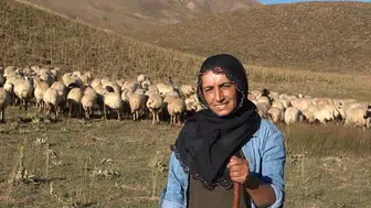 Kadın çoban Özlem Baloğlu, kendi işini kurmak için mücadele ediyor