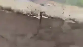Gercüş'te çıkan yangında tarım alanları büyük zarar gördü