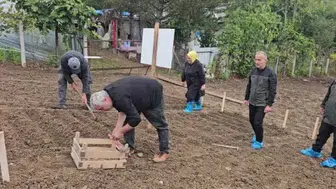 Salep üretiminde yeni bir dönüm noktası: ORKÖY desteğiyle 3 milyon lira gelir bekleniyor