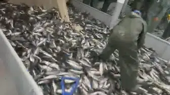 Balıkçılar palamut için av molası bekliyor