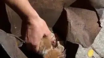 Küçük yavru kedi soba kovasından itfaiye sayesinde kurtarıldı