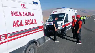 Iğdır'da eşeğe çarpmamak için manevra yapan kamyon kaza yaptı