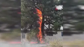 Feke'deki orman yangınında havadan müdahale sürüyor