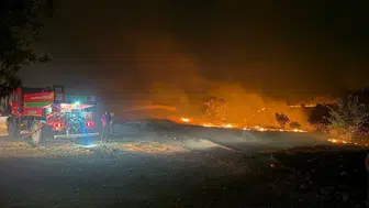 Köy imamı orman yangınında minareye çıkarak destek istedi