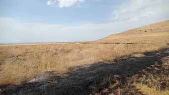 Van'ın Gevaş ilçesinde örtü üstü yangın söndürüldü