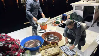 Kıyıköy'de palamutla dolu sezon balıkçıların yüzünü güldürüyor