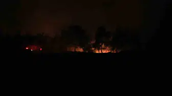 Karaisalı orman yangını söndürüldü, soğutma çalışmaları sürüyor