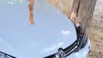 Elazığ'da yoldan çıkan araç ağaca çarptı: 2 yaralı