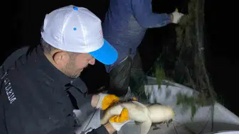 Gece denetimleriyle kaçak avcılığa karşı mücadele: Kovada Gölü'nde önemli operasyon