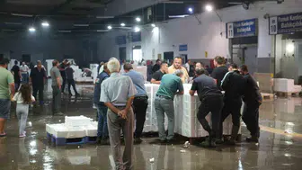 Karadeniz’deki balıkçıların yüzü gülüyor: Hem palamut hem hamsi bol