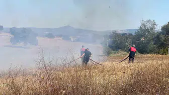 Çanakkale'de özel bakım merkezi yakınlarında ot yangını