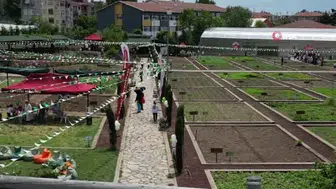 Yedikule bostanları yeniden tarıma kazandırılıyor