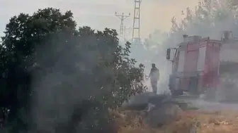 Adıyaman'da bahçe yangını ağaçlara zarar verdi