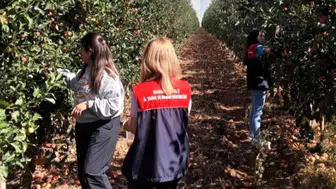 Kırklareli'nde pestisit denetimleri devam ediyor