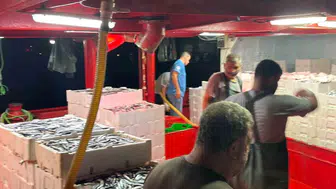 Hamsi avında yeni kota dönemi: Denetimler Didim'de yoğunlaşıyor