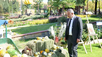 Pursaklar'da ata bahçesinde bereketli hasat dönemi: Yerli tohumlar korunuyor
