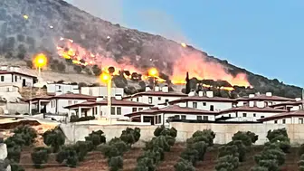 Adıyaman'da ormanlık alanda çıkan yangın kontrol altına alındı