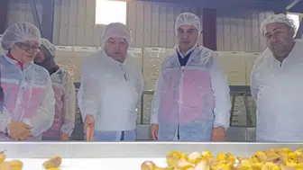 Aydın’ın incirindeki kalite denetimleri sıklaştırıldı
