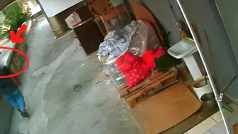 Antalya'da dolandırıcılık şebekesi çökertildi: MİT görevlisi kılığına giren şüpheli yakalandı