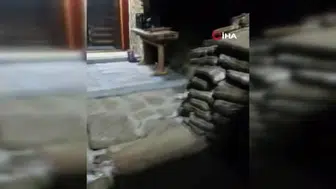 Bahçesine gelen tilki ile dost olan İsmail Yılmaz'ın hikayesi