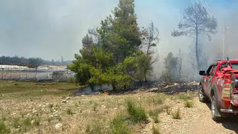 Antalya'da zirai alanda çıkan yangın kısa sürede kontrol altına alındı