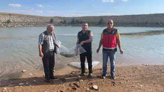 Konya'da su kaynaklarına balık bırakma projesi hayata geçirildi