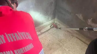 Antakya'da evdeki yılan ekibin müdahalesiyle kurtarıldı