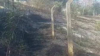 Kastamonu'da yangın mezarlıklara ulaştı: Yangın itfaiye ekipleri tarafından kontrol altına alındı