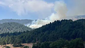 Kahramanmaraş'taki orman yangını ekiplerin müdahalesiyle söndürüldü