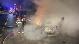 Kastamonu’da otomobil ve tır çarpıştı, yangında 4 büyükbaş hayvan telef oldu