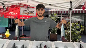 Zonguldak'ta palamut bolluğu tezgahları canlandırıyor
