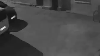 İzmir'de sahibine ait köpeğe acımasız tekme atan kişi kameraya yakalandı