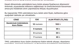 Denizli'de çekirdeksiz kuru üzüm fiyatları açıklandı: Alım süreci 2026'da başlıyor