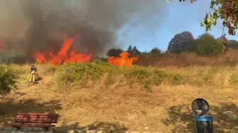 Büyükçekmece sahilindeki yangın itfaiye ekipleri tarafından kontrol altına alındı