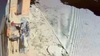 Arnavutköy'de kaynanasının çiçeği çalındı, kimse inanamadı