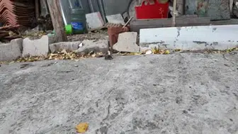Hurda rulmanlarla nostaljik oyuncaklar üretiyor